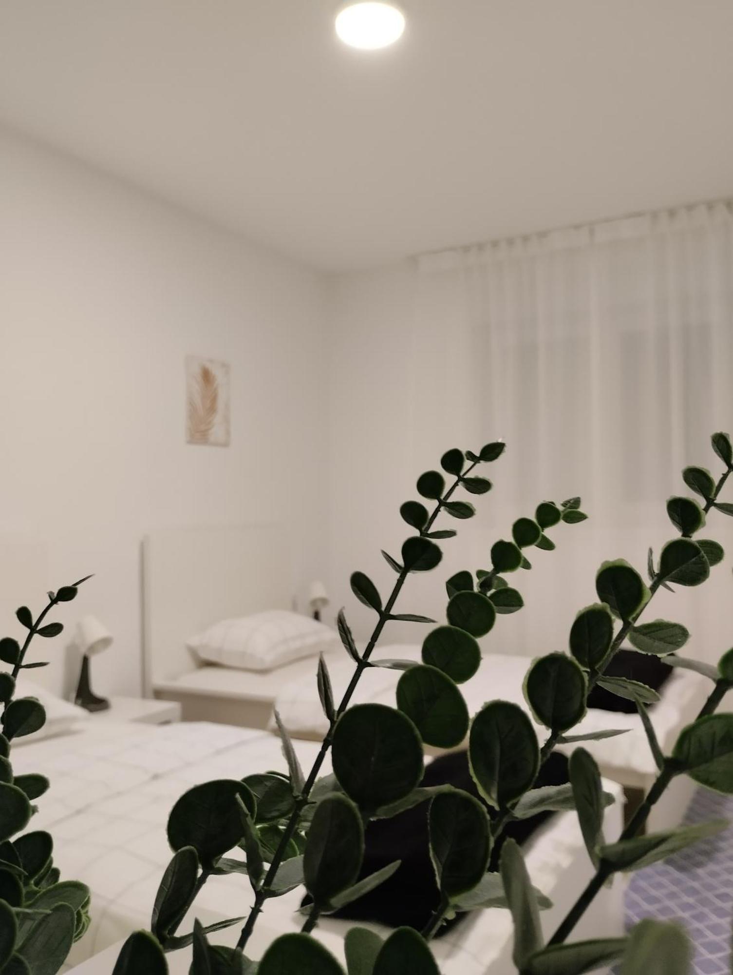 Marija Apartman Osijek Eksteriør billede